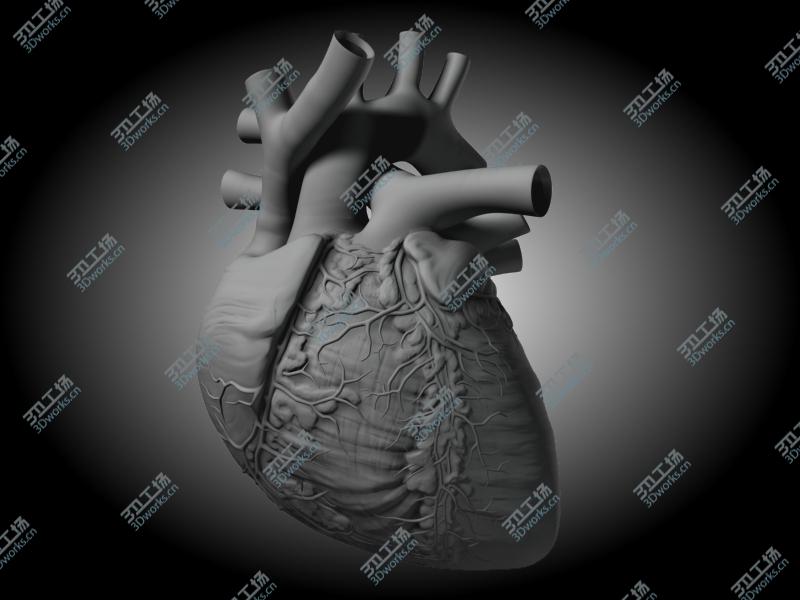 images/goods_img/202105072/Human heart/2.jpg